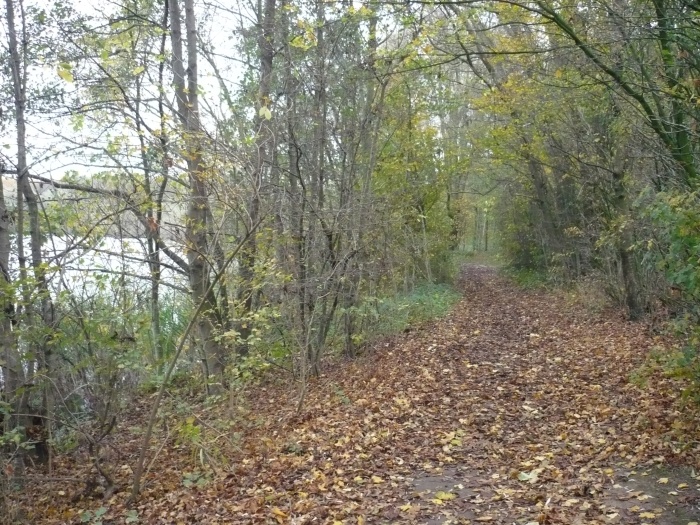 het pad van herfstblaadjes maakt het heerlijk wandelen